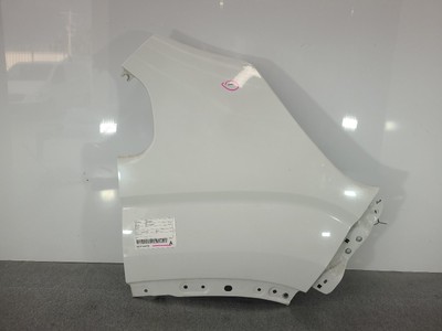 LDV DELIVER 9 2020-2024 RIGHT GUARD 07/20-