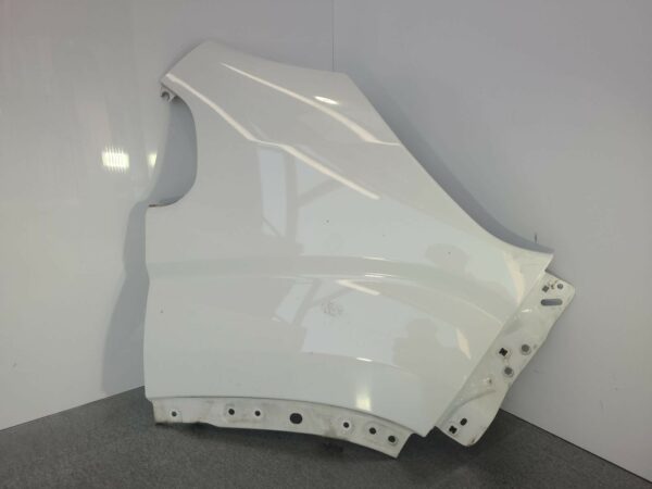 LDV DELIVER 9 2020-2024 RIGHT GUARD 07/20-