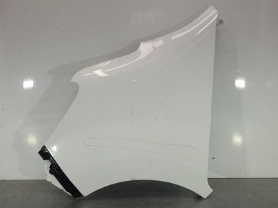 RENAULT MASTER 2020-2024 LEFT GUARD X62, 02/20-