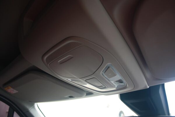 LDV DELIVER 9 07/2020-ON COURTESY LIGHT - Image 11