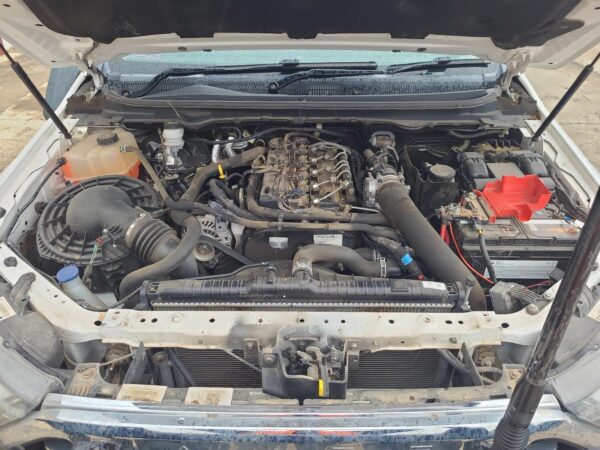 FORD RANGER 2018-2022 PARTICULATE FILTER/DPF PX SERIES 3, DIESEL, 3.2, TURBO, W/ - Image 12