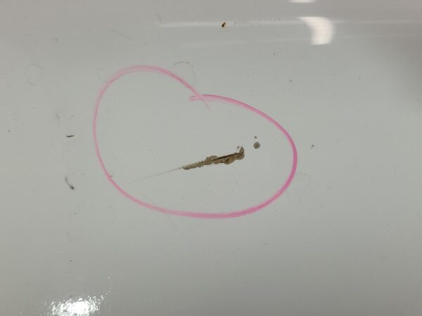 FORD RANGER 2011-2018 BOOTLID/TAILGATE TAILGATE, PX SERIES 1-2, W/ CAMERA TYPE, - Image 19