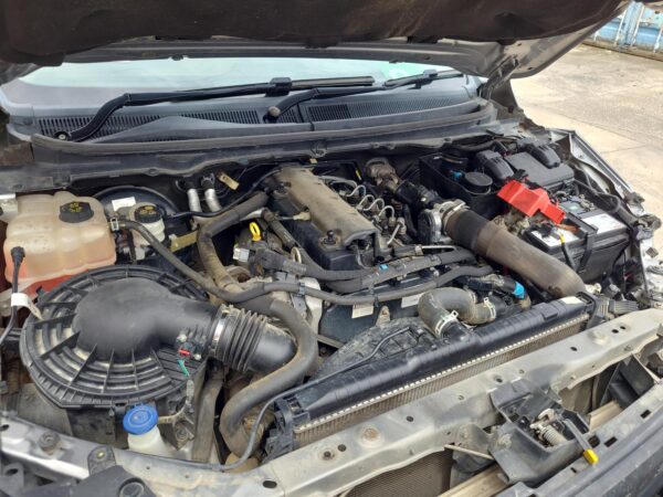 FORD RANGER 2015-2022 MOUNT TRANSMISSION MOUNT, DIESEL, 3.2, TURBO, P5AT, AUTO T - Image 23