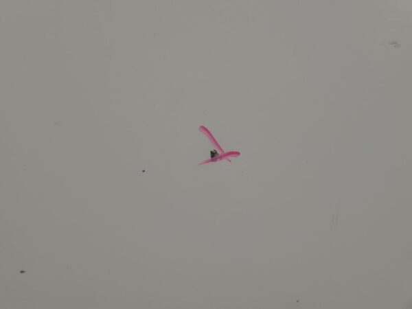 MERCEDES VITO 2015-2025 RIGHT REAR DOOR 447, W/ WINDOW GLASS, NON POWER TYPE, 03 - Image 16