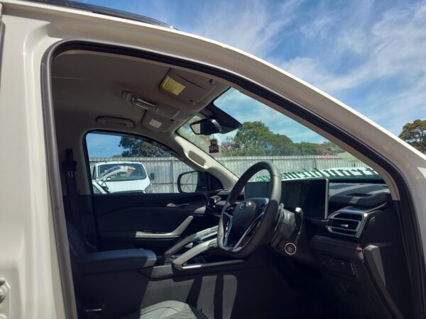 LDV T60 2017-2026 RIGHT REAR DOOR SK8C, 07/17- - Image 18