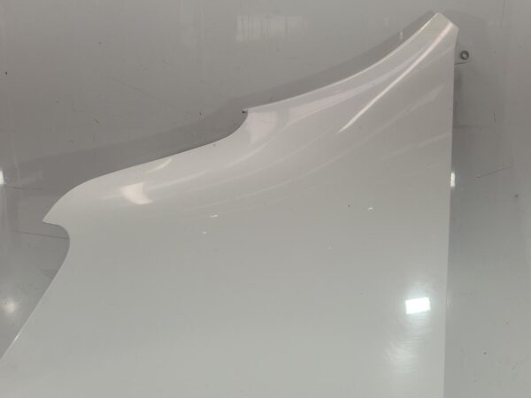 RENAULT MASTER 2020-2024 LEFT GUARD X62, 02/20- - Image 4