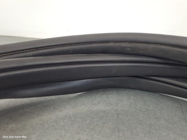 2024 FORD RANGER Door/Tailgate Seal