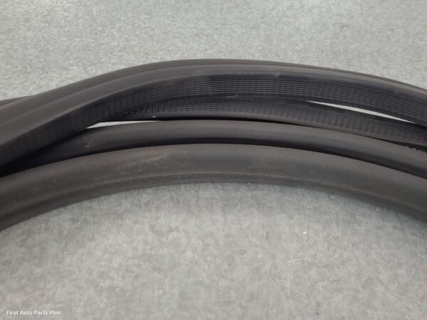 2024 FORD TRANSIT Door/Tailgate Seal