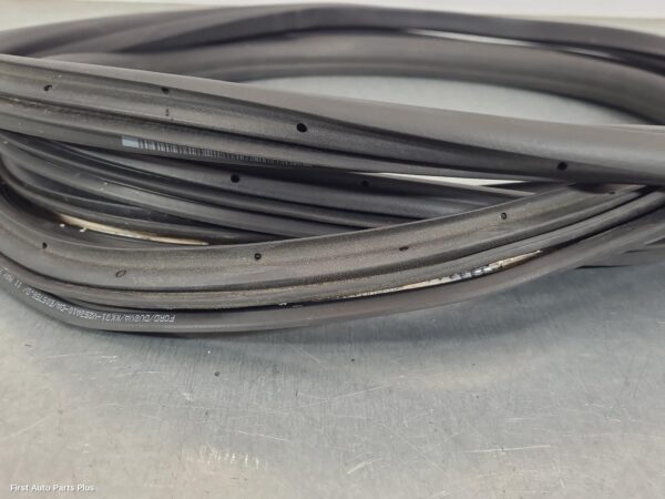 2024 FORD TRANSIT Door/Tailgate Seal
