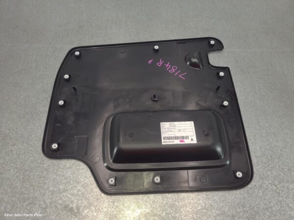 2024 RENAULT TRAFIC Door Trim