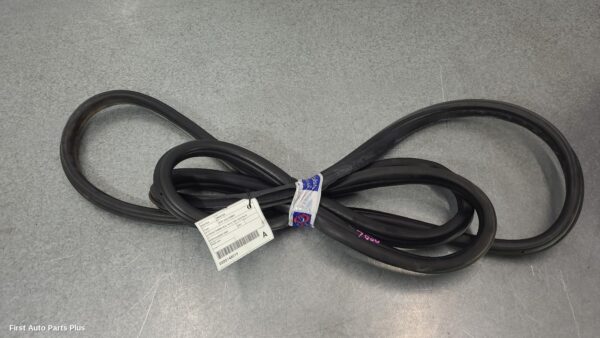 2009 MERCEDES SPRINTER Door/Tailgate Seal
