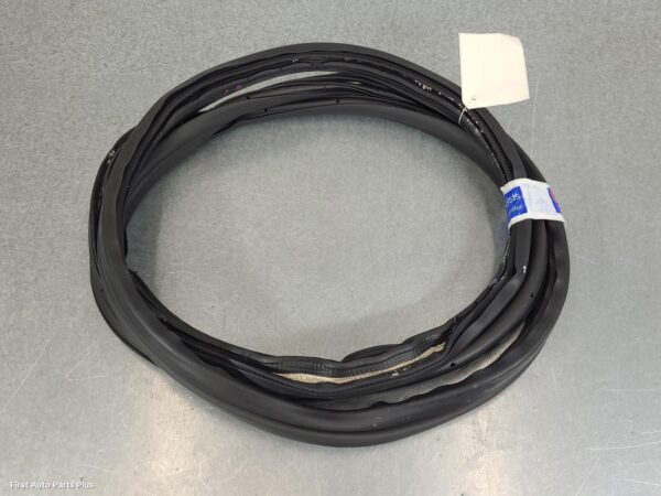 2024 FORD TRANSIT Door/Tailgate Seal