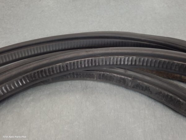 2015 MERCEDES SPRINTER Door/Tailgate Seal