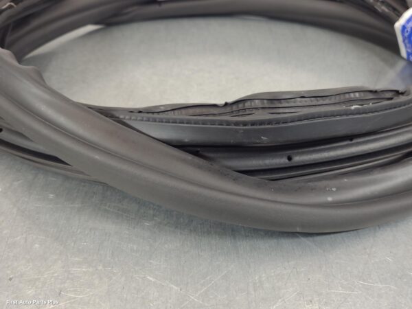 2024 FORD TRANSIT Door/Tailgate Seal