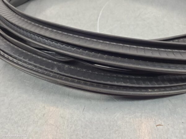2023 MERCEDES SPRINTER Door/Tailgate Seal