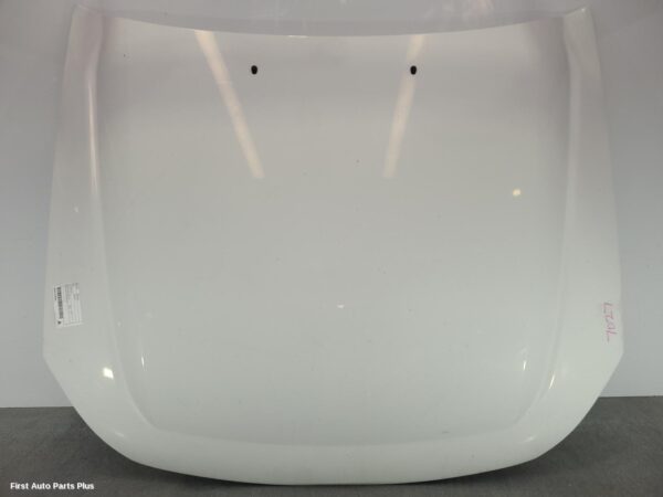 2010 FORD RANGER Bonnet