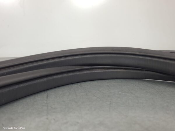 2023 NISSAN NAVARA Door/Tailgate Seal