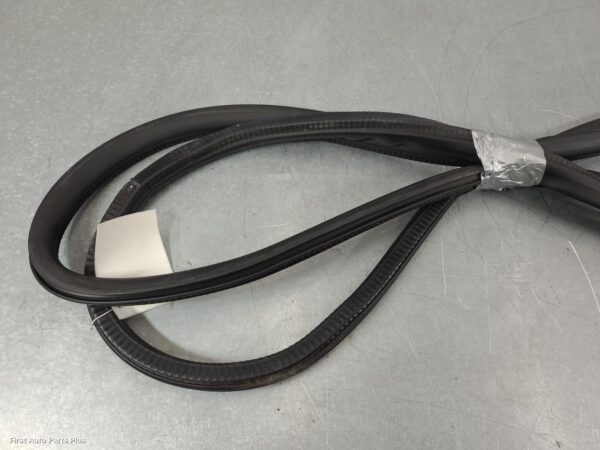 2021 VOLKSWAGEN TRANSPORTER Door/Tailgate Seal