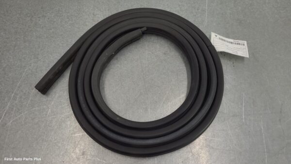 2021 RENAULT MASTER Door/Tailgate Seal