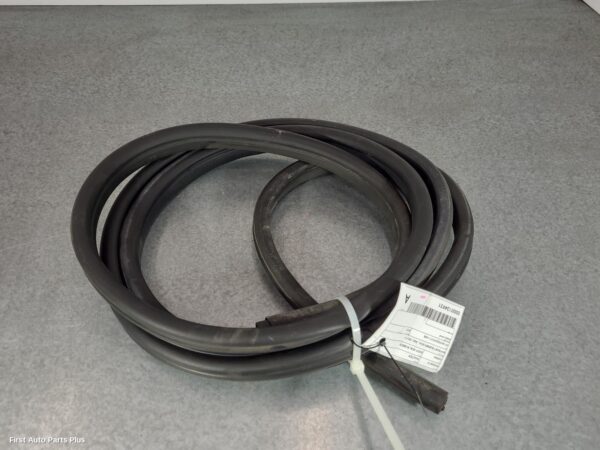 2015 RENAULT MASTER Door/Tailgate Seal