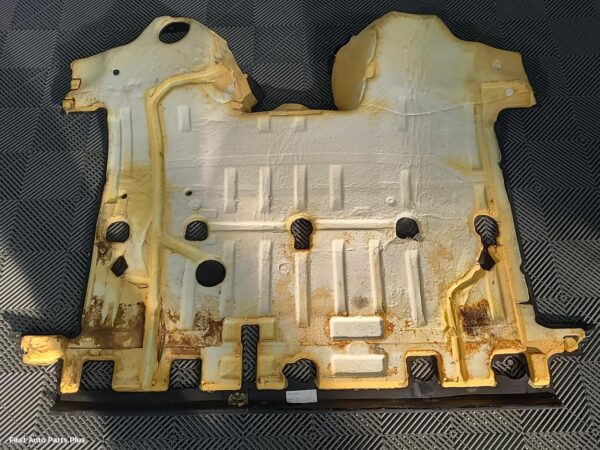 2019 RENAULT MASTER Carpet