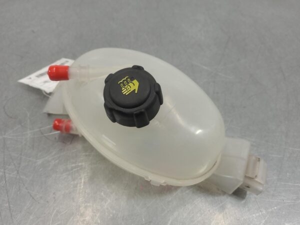 Renault Master X62 Overflow Bottle 2011–Present - Image 2