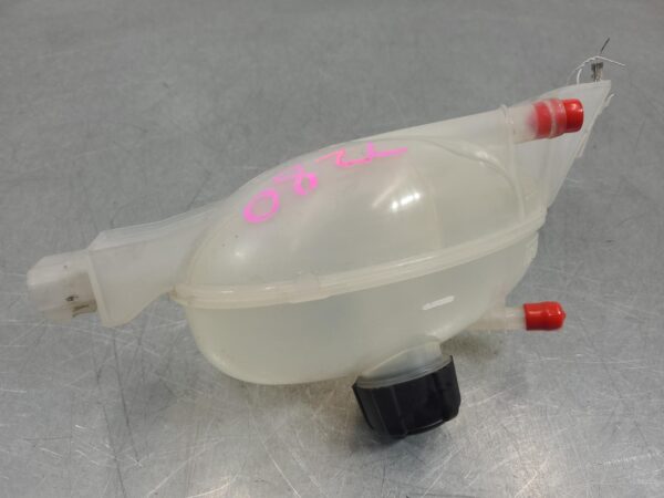 Renault Master X62 Overflow Bottle 2011–Present - Image 6