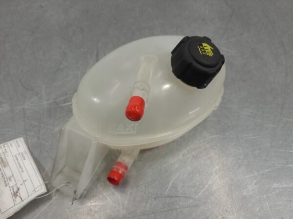Renault Master X62 Overflow Bottle 2011–Present
