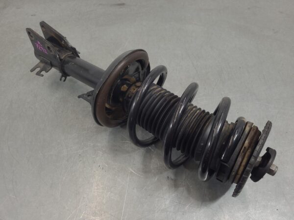 Renault Master X62 Right Front Strut Fwd 2011–Present