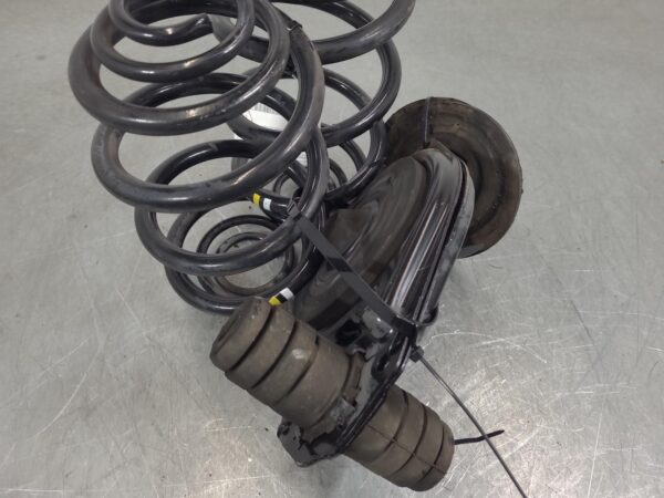 Renault Trafic X82 Rear Coil Spring Pair 2015–Present - Image 5